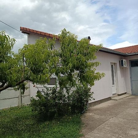 M&V House Leilighet Novi Sad Eksteriør bilde