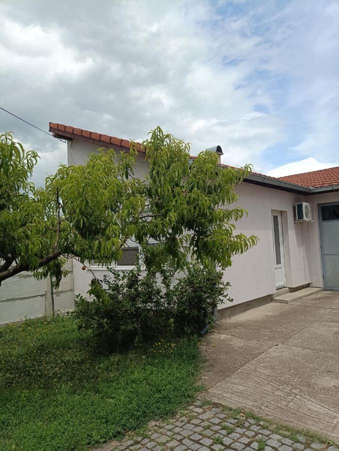 M&V House Leilighet Novi Sad Eksteriør bilde